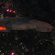 Illustration for article titled Best Xmas Tree Ever Has All the Sci-Fi Decorations You Can Imagine